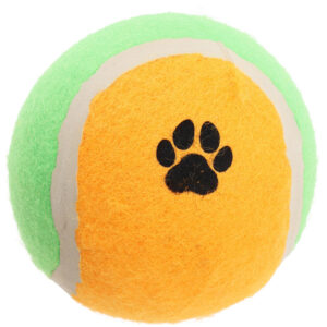 Velký míček Dog Ball 10 cm